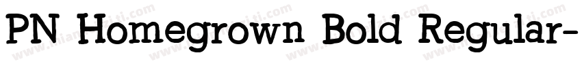 PN Homegrown Bold Regular字体转换